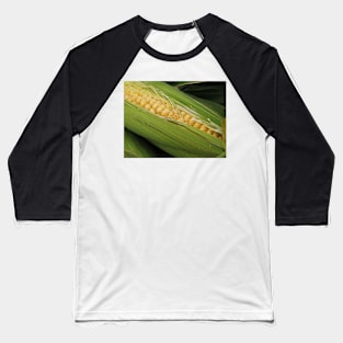 Ripe Corn Baseball T-Shirt